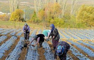 Nilüfer Belediyesi’nden kadın üreticilere 100...