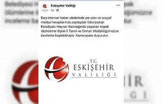 Odunpazarı Belediyesi’nin hayvan barınağındaki...