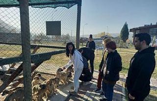 Öğrencilere, veteriner hekimler tarafından bilgiler...