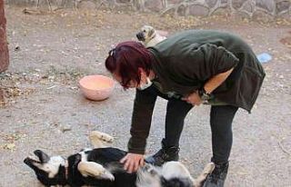 Öğretim Görevlisi Altınbaş, kendi imkanlarıyla...