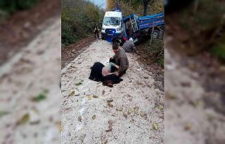 Ordu’da patpat kazası: 2 yaralı