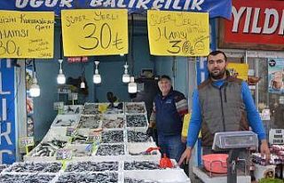 Ordu’da tezgahlarda hamsi bolluğu: Fiyatı 30 liraya...