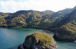 Ordu’nun kuş cenneti: Hoynat Adası