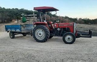 Ormanda kaçak odun kesen şahıs yakalandı