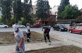 Ortaca’da yeşil alanlarda bakım çalışması