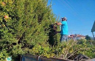 Ortaca’da yeşil alanlarda bakım ve temizlik çalışması