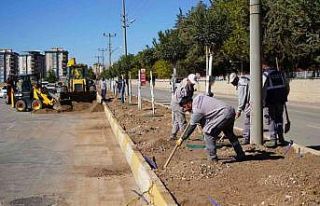 OSB yolunda ağaçlandırma çalışması