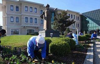 Osmangazi kış çiçekleri ile renklenecek