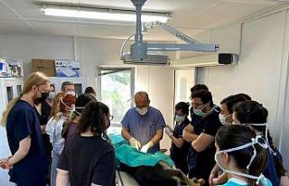 Osmangazi’de her canlı değerli