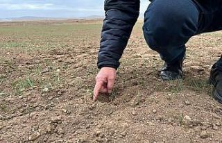 (ÖZEL) Çiftçi can suyu bekliyor