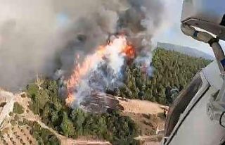 (Özel) Kazdağları’ndaki yangını işte böyle...