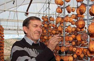 (ÖZEL) Kurutmaya bıraktıkları cennet hurmalarına...