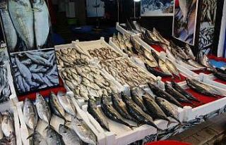 Palamut avında düşüş, diğer balık çeşitlerinin...