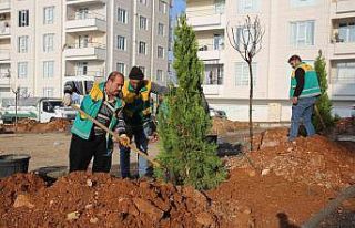 Parklarda kışa hazırlık çalışmaları yapılıyor
