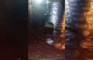 Pendik’te mide bulandıran görüntü: Simit tezgahından...