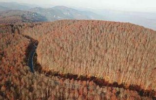 Perşembe Yaylası’nda sonbahar güzelliği