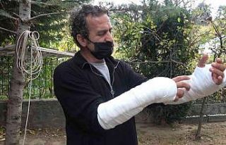 Pitbullu saldırıya uğradı...Kolları parçalandı,...