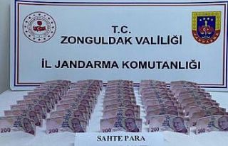 Piyasaya sahte para süren kalpazanlar yakalandı