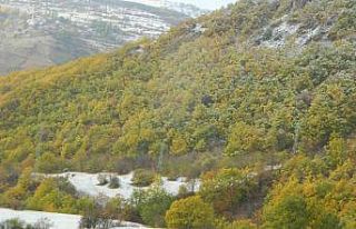 Posof vadisi beyaza büründü