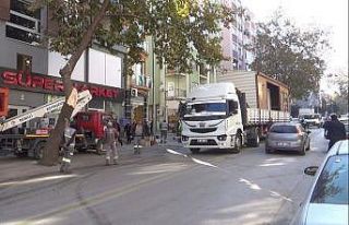 Prefabrik ev taşıyan tırın kırdığı ağaç...