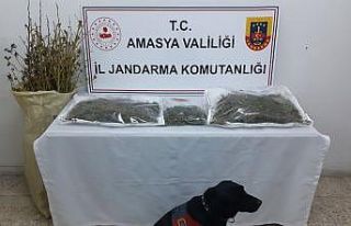 ‘Puslu’ 4 kilo uyuşturucuyu saklandığı yerde...