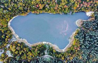 Sakarya’da sonbahar güzelliği