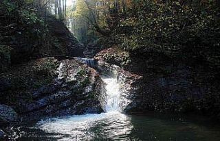 Saklı cennet ‘Kudavas Şelalesi’ ziyaretçilerini...