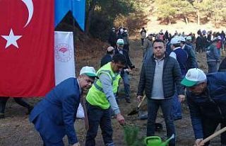 Salihli’de Öğretmenler Günü ağaç dikme etkinliği...