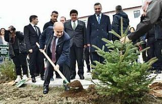 Samsun’da 100 bin fidan toprakla buluştu