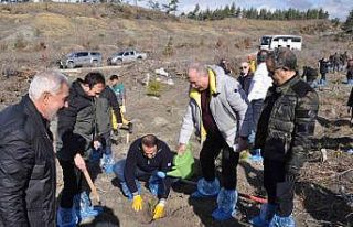 Sarıkamış şehitleri anısına 1914 fidan toprakla...