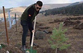 Sarıkamış’ta 2250 rakım da Türkiye Yüzyılına...