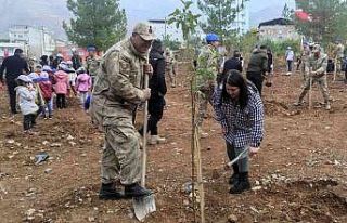Sason’da 14 bin fidan toprakla buluşturuldu