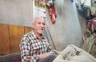 Semercilik mesleği teknolojiye yenildi