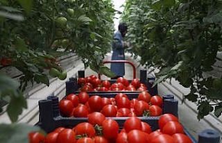 Seracılık Mükemmeliyet Merkezi’nde 4 ayda 550...