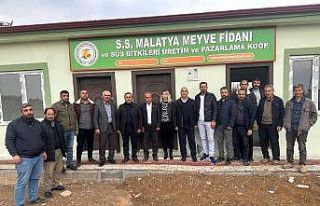 Sertifikasız ve kaçak fidan satışına izin yok