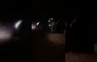 Silivri’de aniden yola çıkan ata otomobil çarptı:...