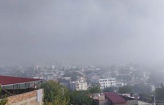 Silvan’da yoğun sis etkisi