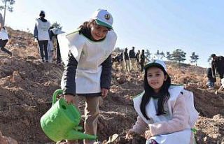 Sındırgı’da binlerce fidan toprakla buluştu