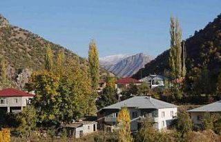 Şırnak’ın bal ormanları farklı renk tonlarıyla...