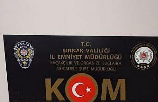 Şırnak’ta kaçakçılık ve asayiş operasyonu:...