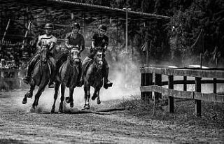 "Sizin Gözünüzden Gölcük" konulu fotoğraf...