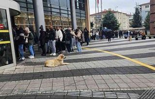 Soğuk havaya rağmen indirim kuyruğu