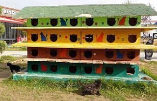 Sokak hayvanlarına dubleks ve tripleks yuva