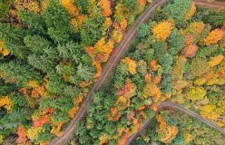 Sonbahar renkleri Trabzon’u kartpostallardaki görüntülere...
