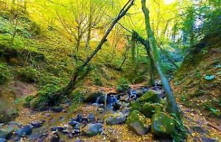 Sonbaharın renkleri ile Nüzhetiye Şelalesi birleşti,...
