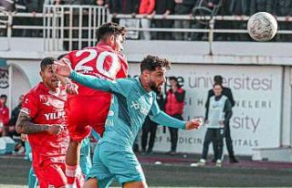Spor Toto 1. Lig: Tuzlaspor: 1 - Samsunspor: 2