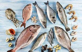 Su ürünleri ihracatında rekor yıl