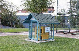 Sultangazi Belediyesi sokak hayvanlarına desteğini...