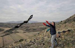 Tedavileri tamamlanan yaralı kuşlar özgürlüğe...