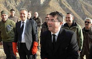 Tedavisi tamamlanan dağ keçileri ve kuşlar doğaya...